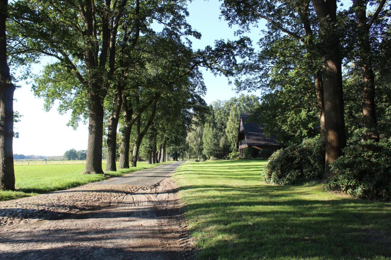 Ferienhaus Auf Gut Sautmannshausen ฮาเซลลุนเนอ ภายนอก รูปภาพ