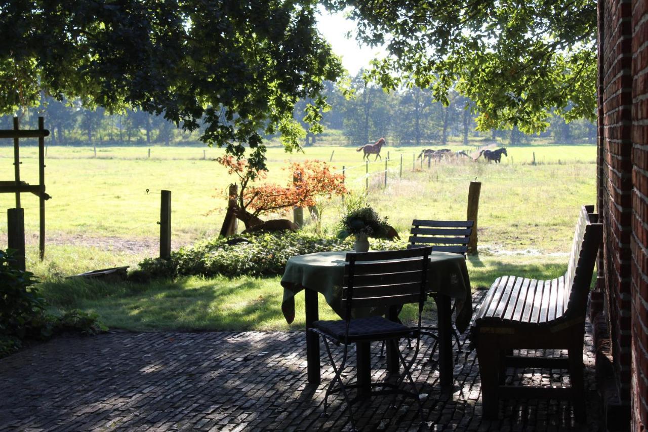 Ferienhaus Auf Gut Sautmannshausen ฮาเซลลุนเนอ ภายนอก รูปภาพ