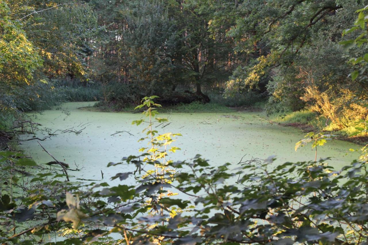Ferienhaus Auf Gut Sautmannshausen ฮาเซลลุนเนอ ภายนอก รูปภาพ