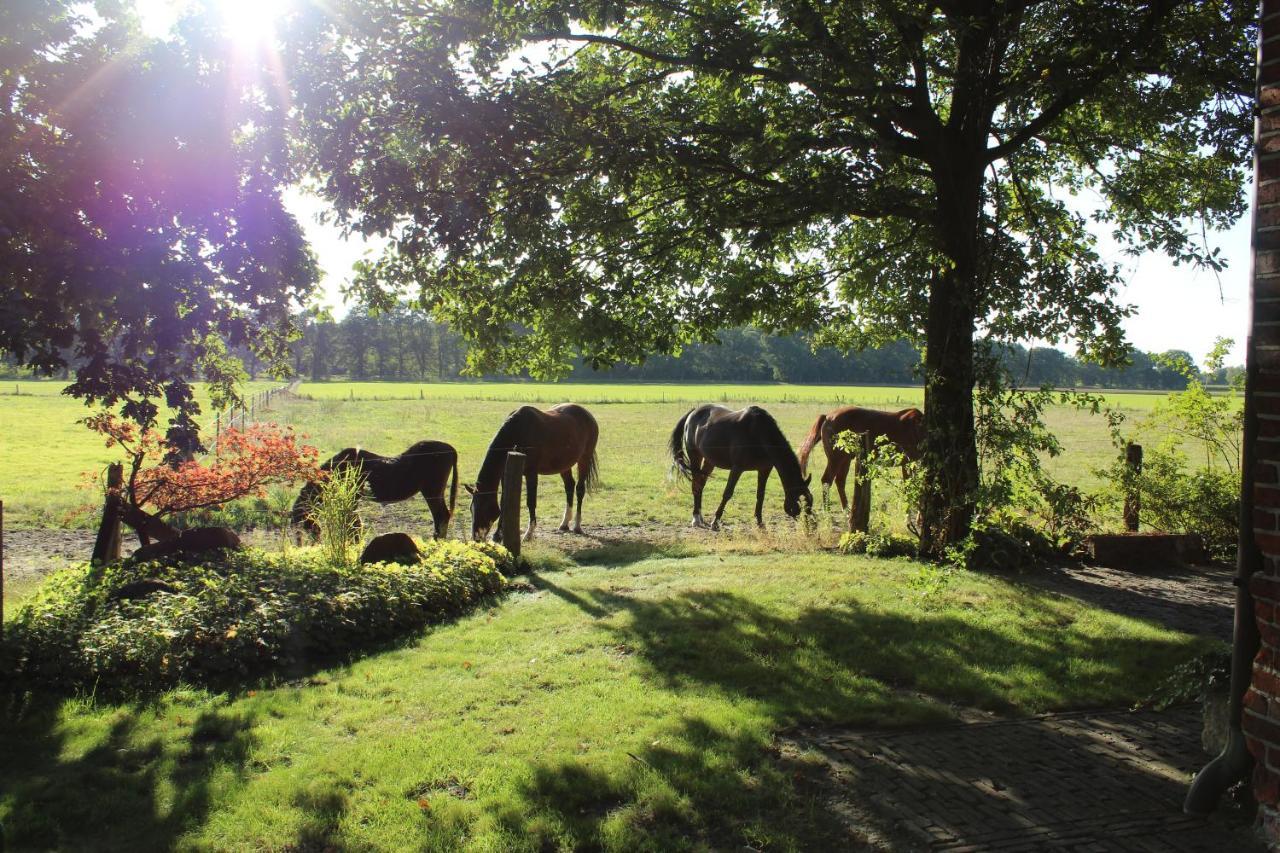 Ferienhaus Auf Gut Sautmannshausen ฮาเซลลุนเนอ ภายนอก รูปภาพ